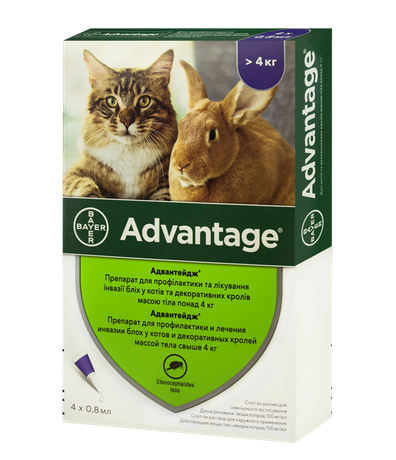 Bayer Advantage 80 для котів та кроликів понад 4 кг