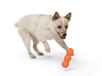 West Paw Rumpus Іграшка для собак, 13 см (сильне гризіння)