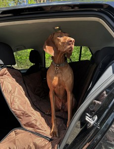 Harley and Cho Saver Brown Автогамак для собаки в машину