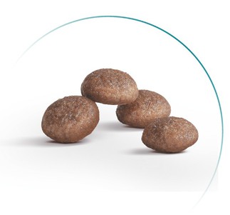 Royal Canin Ageing 11+ Sterilised Сухий корм для стерилізованих кішок віком від 11 років