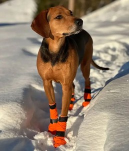 Non-stop dogwear Contact bootie high Высокие ботинки для собак оранжевые