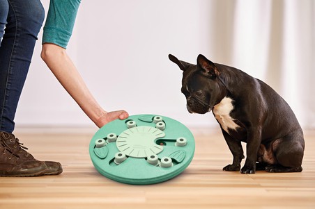Nina Ottosson Dog Worker Іграшка інтерактивна "Ребус" для собак (3-й рівень складності)