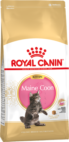 Royal Canin Maine Coon Kitten для котят породы Мэйн Кун от 3 мес до 15 мес