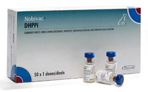 Intervet Nobivac DHPPi - вакцина Нобивак DHPPi для собак