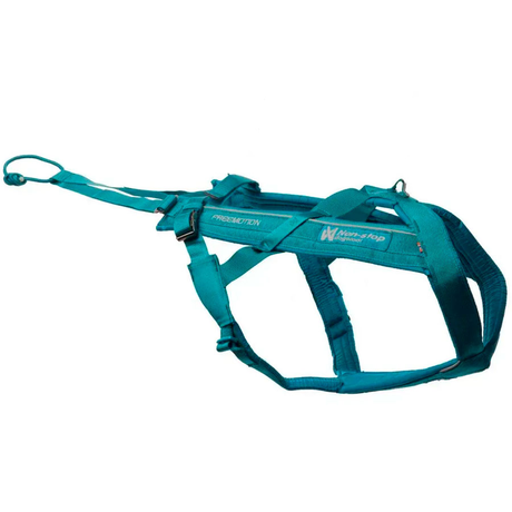 Non-Stop Dogwear Freemotion Harness 5.0 Шлейка Для Собак Бирюзовая Фото От Dog.Com.Ua