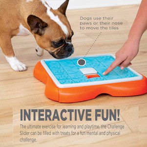 Nina Ottosson Challenge Slider Игрушка интерактивная для собак (3-й уровень сложности)