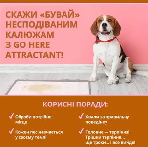 OUT! Go Here спрей для приучения собак к туалету в помещении и на улице