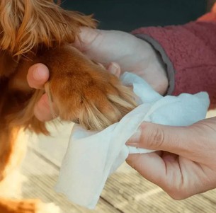 Beco Pets Вологі серветки біорозкладні бамбукові з ароматом кокосу