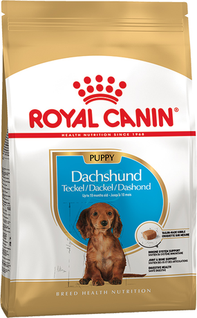 Сухой корм Royal Canin Dachshund Puppy (Роял Канин) для щенков породы такса (курица)