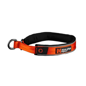Non-Stop Dogwear Cruise Нашийник Для Собак Помаранчевий Фото Зоомагазину Dog.Com.Ua