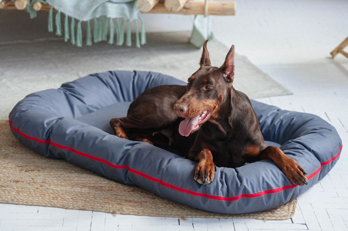 Haustier лежак для собак Ponton Hard Gray вологостійкий двосторонній, сірий