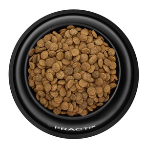 Сухий корм Practik Simple для собак з качкою та суперфудами