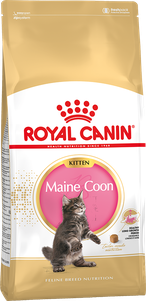 Royal Canin Maine Coon Kitten для кошенят породи Мейн Кун від 3 міс до 15 міс