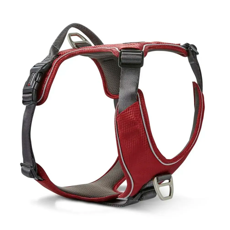 Wolters Active Pro Comfort Шлейка Смягченная С Ручкой Для Собак Красная Фото От Dog.Com.Ua