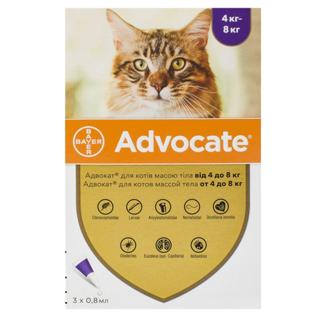 Bayer Advocate для кошек от 4 до 8 кг