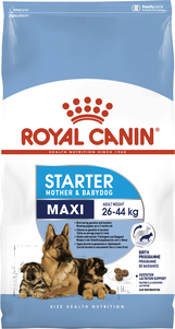 Сухий корм Royal Canin Maxi Starter для цуценят великих порід до 2 місяців