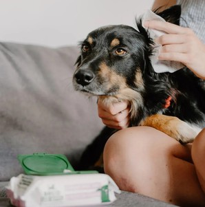 Beco Pets Dog Ear Wipes Бамбуковые салфетки для очистки ушей у собак