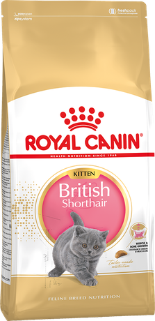 Royal Canin British Shorthair Kitten для котят породы Британская короткошерстная