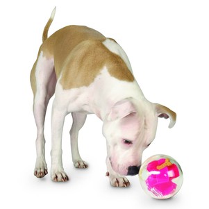 Planet Dog Mazee Іграшка для собак м'яч-лабіринт