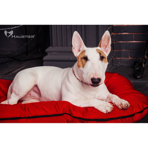 Haustier лежак-понтон для собак Red