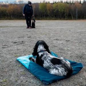 Non-stop dogwear Trekking dog bed Складаний килимок для собак темно-бірюзовий