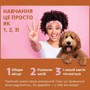 OUT! Go Here спрей для приучения собак к туалету в помещении и на улице