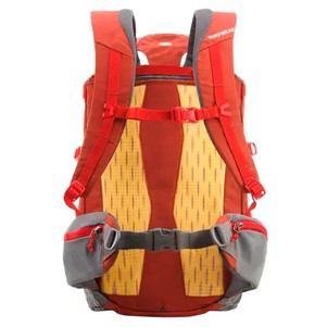 Ruffwear Hitch Hiker™ Рюкзак для переноски собак червоний