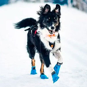 Non-stop dogwear Long distance bootie Ботинки для собак синие