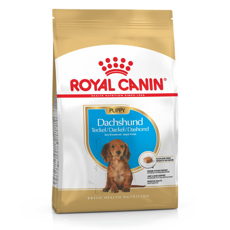 Сухий Корм Royal Canin Dachshund Puppy (Роял Канін) Для Цуценят Породи Такса (Курка) Фото Від Dog.Com.Ua