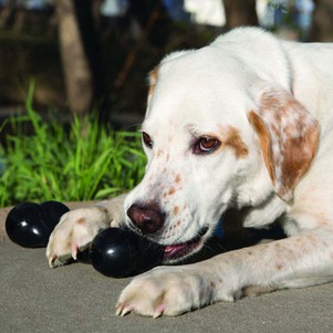 KONG (Конг) Extreme Goodie Bone надміцна інтерактивна іграшка для собак (екстремальне гризіння)