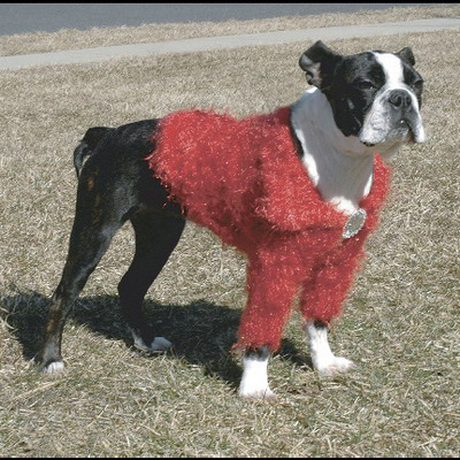 Doggyduds SHAGGY SHRUG кофточка, одяг для собак