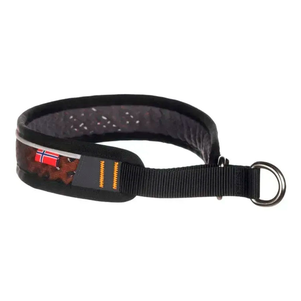 Non-Stop Dogwear Rock Collar 2.0 Нашийник Для Собак Чорний З Помаранчевим Фото Зоомагазину Dog.Com.Ua