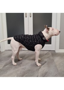COLLAR AiryVest UNI двусторонняя курточка для собак (оранжево-черная) - эластичная на 20%!