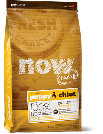 Сухий корм NOW FRESH Puppy Recipe Grain Free для цуценят всіх порід (індичка, качка, лосось)