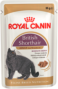 Royal Canin British Shorthair (кусочки в соусе) Консервированный корм для взрослых кошек