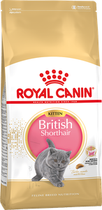 Royal Canin British Shorthair Kitten для кошенят породи Британська короткошерста