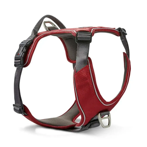 Wolters Active Pro Comfort Шлейка Смягченная С Ручкой Для Собак Красная Фото Зоомагазина Dog.Com.Ua