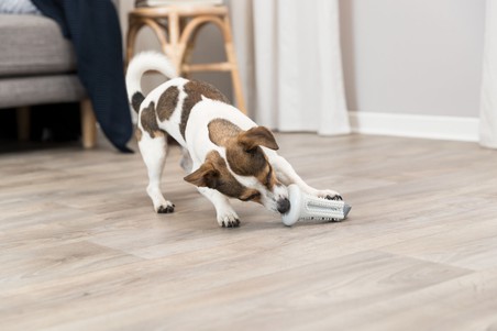 Іграшка для собак Trixie "Дзвоник для ласощів" зі стрічкою, термопластична гума/поліестер, 11*22 см