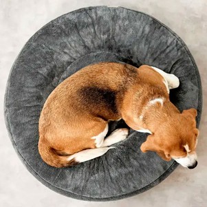 Palopa Donut Fippa Лежак для собак сірий