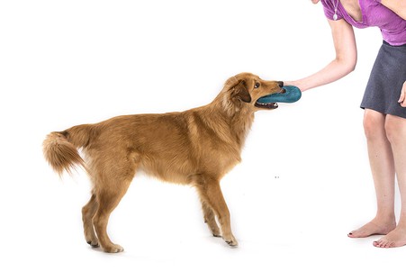 West Paw Dash Dog Frisbee Игрушка-фрисби для собак