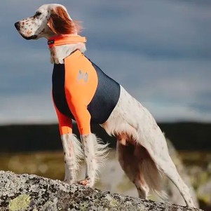 Non-stop dogwear Protector t-shirt Футболка для собак чорна з помаранчевим