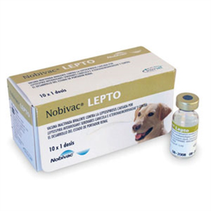 Intervet Nobivac L - вакцина Нобивак против лептоспироза