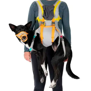 Ruffwear Backtrak™ Набір Для Евакуації Собаки Сірий Фото Зоомагазину Dog.Com.Ua