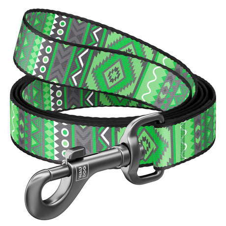 COLLAR WAUDOG Nylon Повідець нейлоновий, малюнок "Етно зелений"