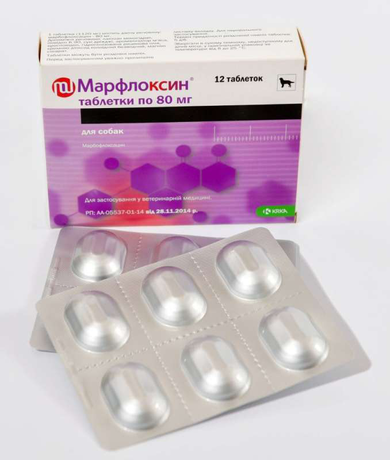 Marfloxin (Марфлоксин) by KRKA Антибактеріальні таблетки для собак і котів