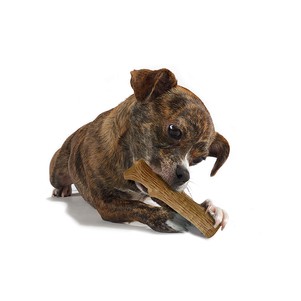 Petstages Dogwood Stick Іграшка для собак Міцна гілка (сильне гризіння)