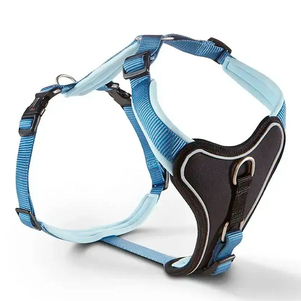 Wolters Professional Comfort Шлейка Пом'Якшена Для Собак Синя Фото Зоомагазину Dog.Com.Ua