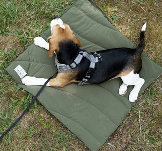 Harley and Cho Pocket Mat Ультралегкий килимок для прогулянок