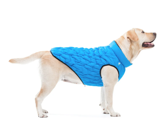 COLLAR AiryVest UNI двусторонняя курточка для собак (сине-черная) - эластичная на 20%!