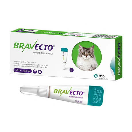 BRAVECTO (Бравекто) SPOT-ON L Краплі від бліх та кліщів для кішок вагою від 6,25 до 12,5 кг (захист на 12 тижнів)